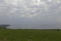 Cjp_2017-04-19_080310.jpg