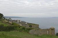 Cjp_2017-04-19_081046.jpg