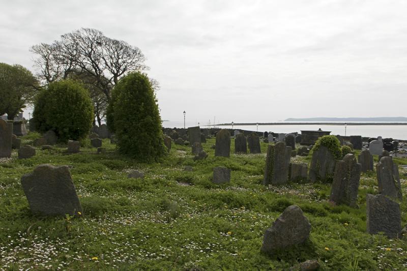 Cjp_2017-04-19_095624.jpg