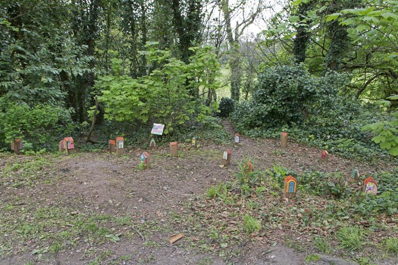 Cjp_2017-04-19_125402.jpg
