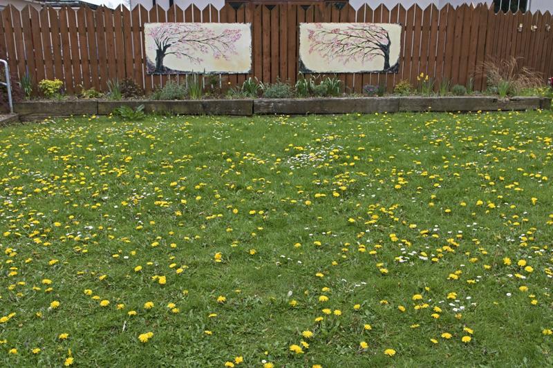 Cjp_2017-04-19_134816.jpg