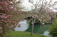 Cjp_2017-04-19_090622.jpg