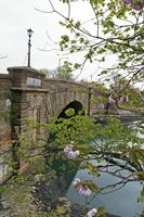 Cjp_2017-04-19_090644.jpg