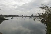 Cjp_2017-04-19_090700.jpg