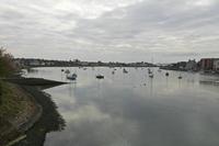 Cjp_2017-04-19_090724.jpg