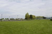 Cjp_2017-04-19_093630.jpg