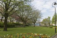 Cjp_2017-04-19_093724.jpg