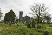 Cjp_2017-04-19_095548.jpg