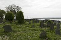 Cjp_2017-04-19_095624.jpg