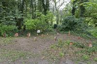 Cjp_2017-04-19_125402.jpg