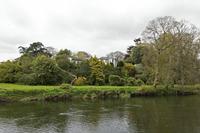 Cjp_2017-04-19_130932.jpg