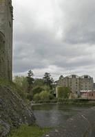 Cjp_2017-04-19_132412.jpg