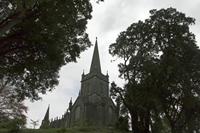 Cjp_2017-04-19_133506.jpg