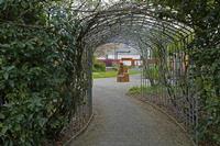 Cjp_2017-04-19_134600.jpg