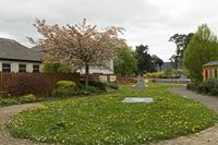 Cjp_2017-04-19_134724.jpg