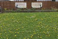 Cjp_2017-04-19_134816.jpg