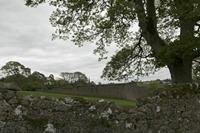Cjp_2017-04-19_150350.jpg