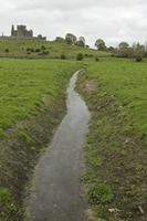 Cjp_2017-04-19_155640.jpg