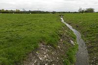 Cjp_2017-04-19_155656.jpg