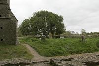 Cjp_2017-04-19_160148.jpg