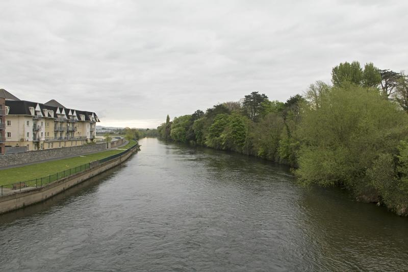 Cjp_2017-04-20_070840.jpg