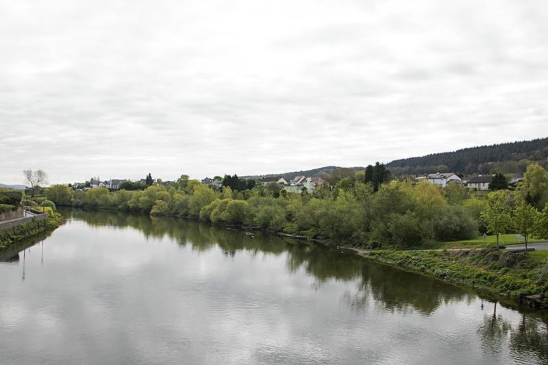 Cjp_2017-04-20_092214.jpg