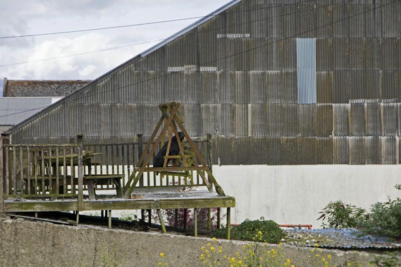 Cjp_2017-04-20_092622.jpg