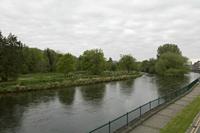 Cjp_2017-04-20_070728.jpg