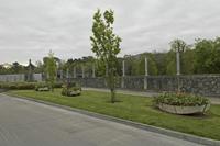 Cjp_2017-04-20_071222.jpg