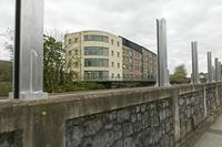 Cjp_2017-04-20_072254.jpg