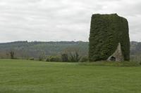 Cjp_2017-04-20_083236.jpg