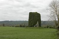 Cjp_2017-04-20_083240.jpg