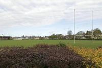 Cjp_2017-04-20_085142.jpg