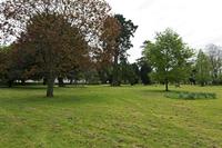 Cjp_2017-04-20_085518.jpg