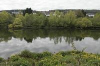 Cjp_2017-04-20_091736.jpg