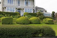 Cjp_2017-04-20_092456.jpg