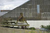 Cjp_2017-04-20_092622.jpg