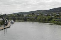 Cjp_2017-04-20_093116.jpg