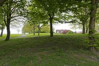 Cjp_2017-04-20_123522.jpg