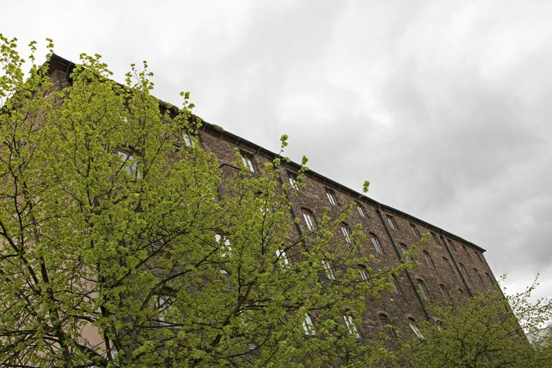 Cjp_2017-04-20_143818.jpg