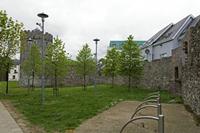 Cjp_2017-04-20_132036.jpg
