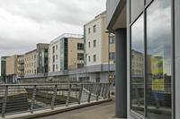 Cjp_2017-04-20_132130.jpg