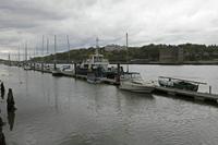 Cjp_2017-04-20_140646.jpg