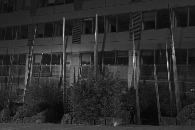 Cjp_2017-04-20_204710_NB.jpg