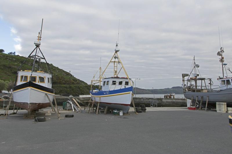 Cjp_2017-04-21_074148.jpg