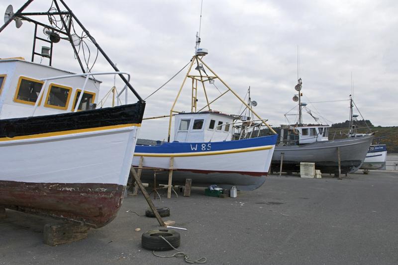 Cjp_2017-04-21_074356.jpg