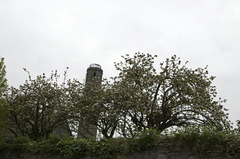 Cjp_2017-04-21_093432.jpg