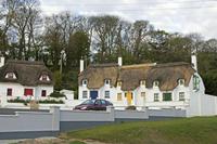 Cjp_2017-04-21_064048.jpg
