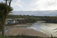 Cjp_2017-04-21_064450.jpg