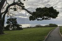 Cjp_2017-04-21_065320.jpg